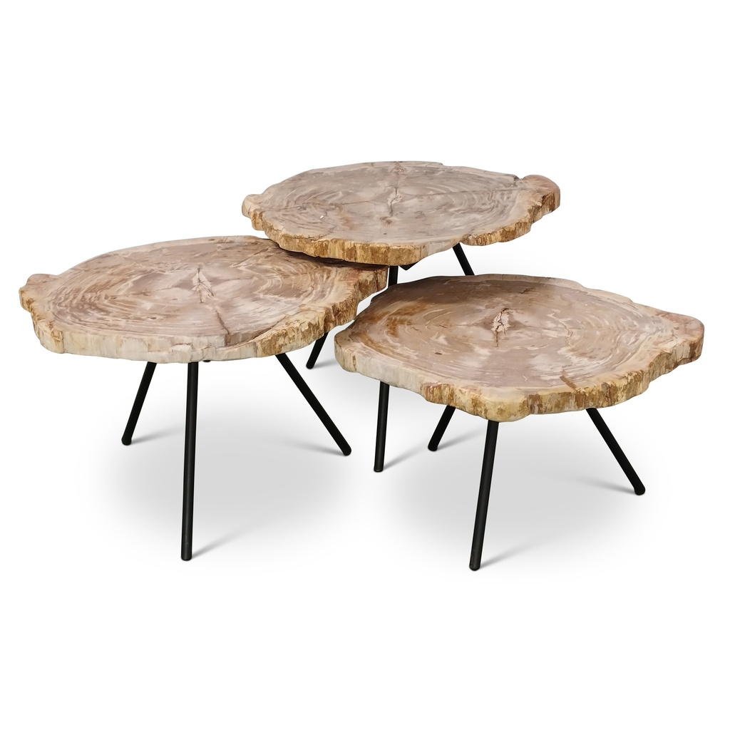 Round Mango Wood Accent Table | Demy Metal and Wood Table